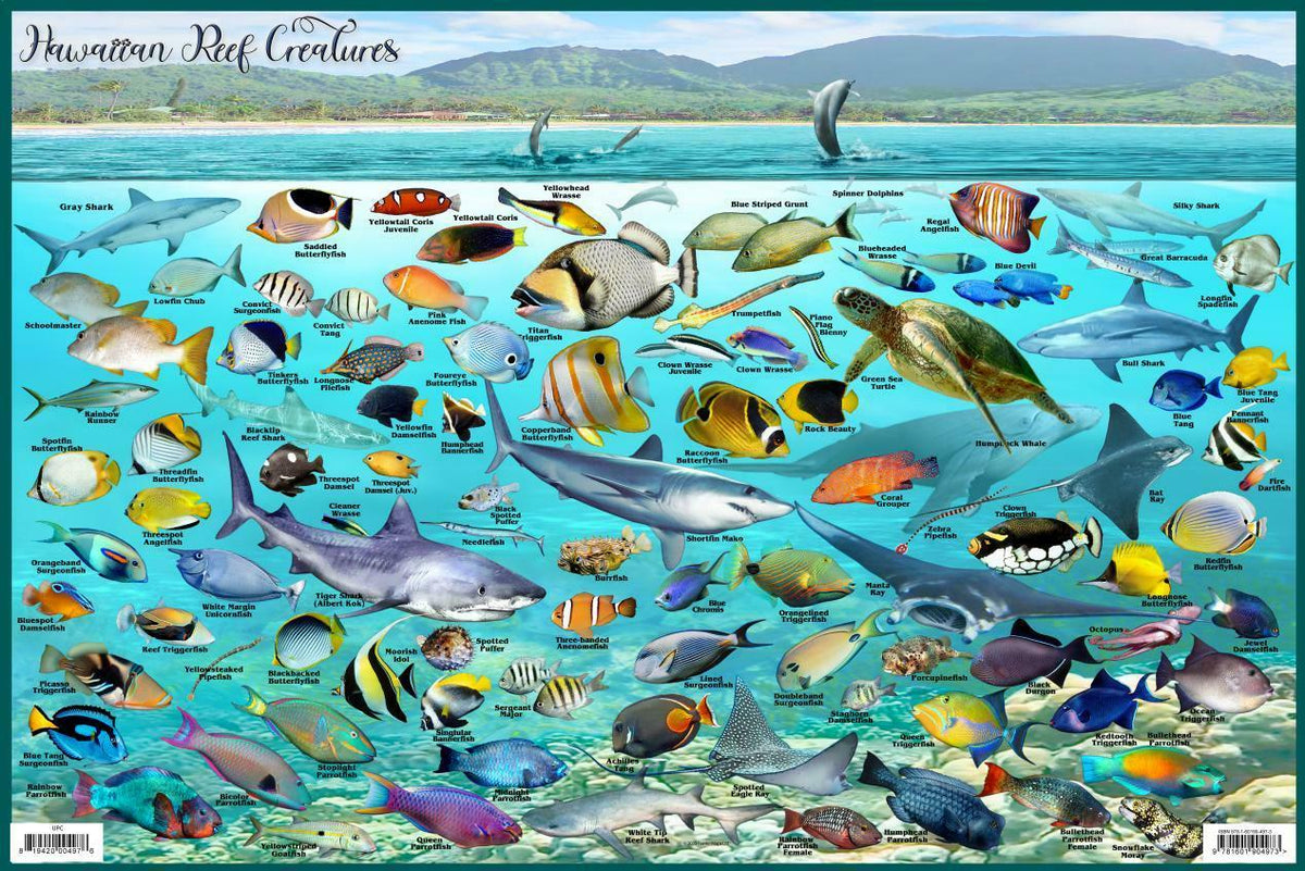 9781601904973.PT01_1200x1200.