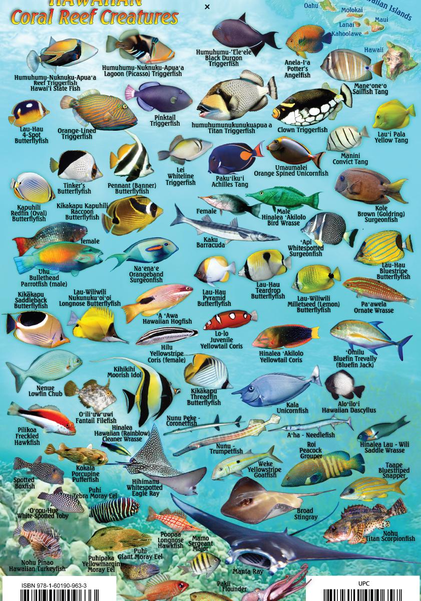 Kauai Fish Card – Franko Maps