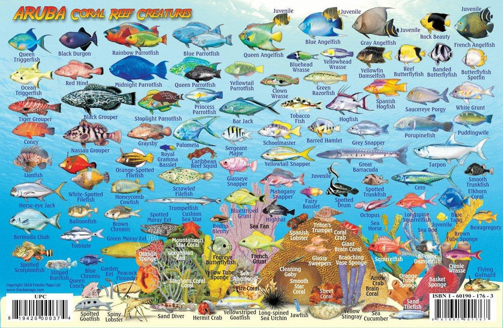 Aruba Fish Card - Frankos Maps