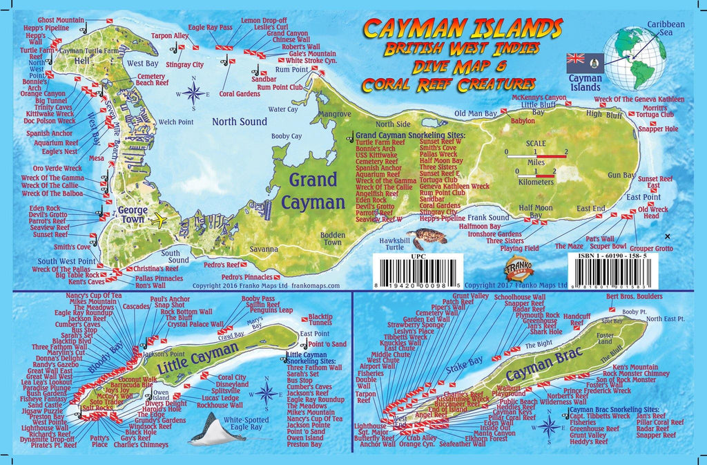 Cayman Islands Fish Card - Frankos Maps