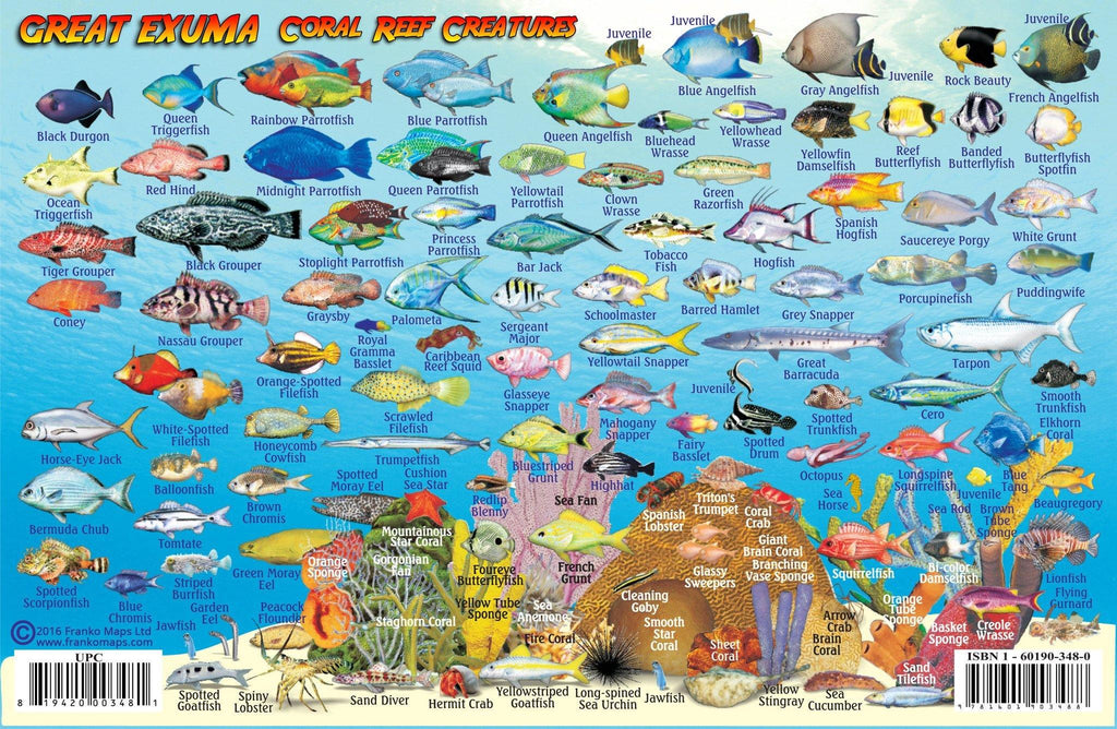 Great Exuma Island, The Bahamas, Fish Card - Frankos Maps