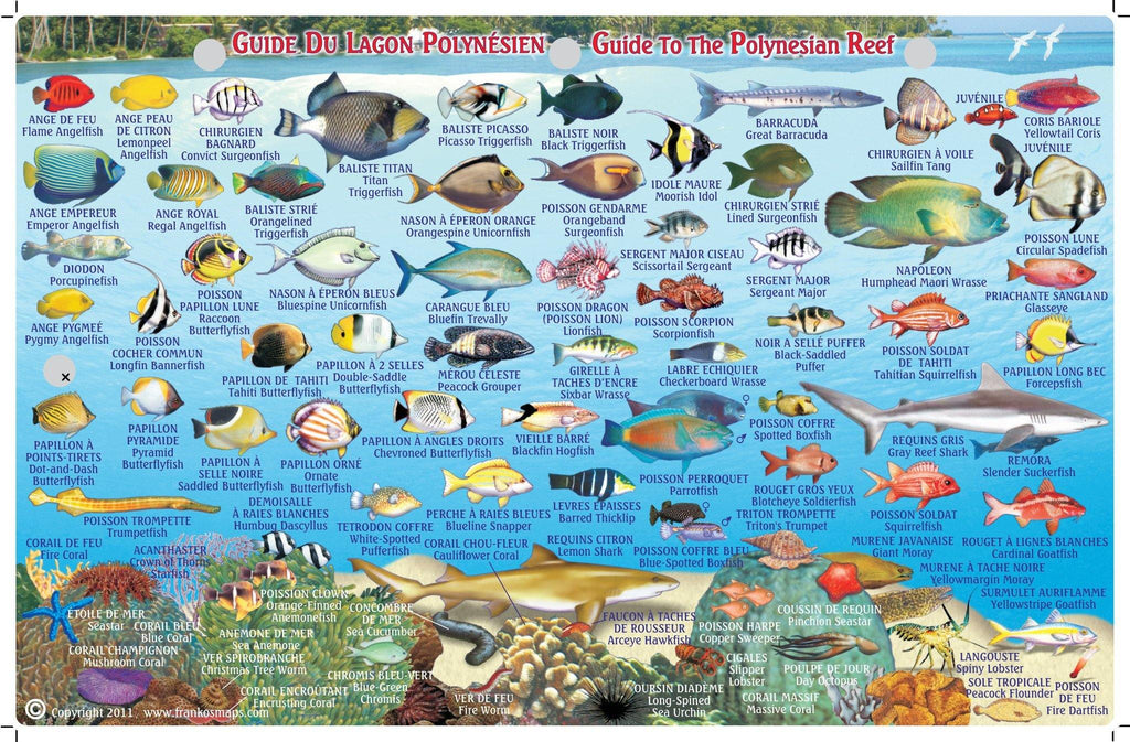 Tahiti & Society Islands Fish Card - Frankos Maps