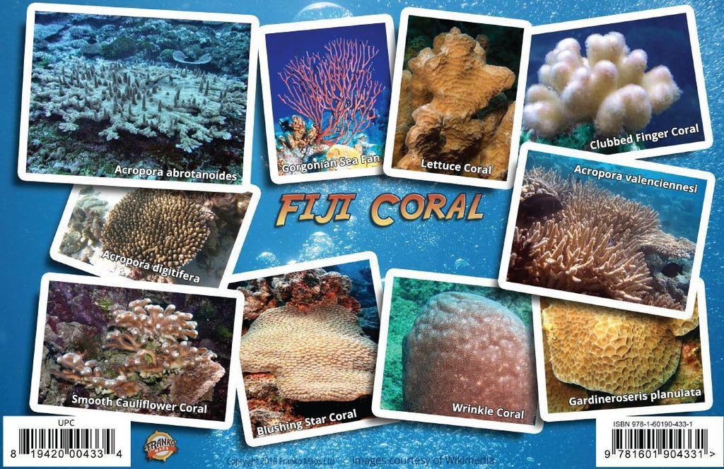 Fiji Coral Identification Guide Card - Frankos Maps