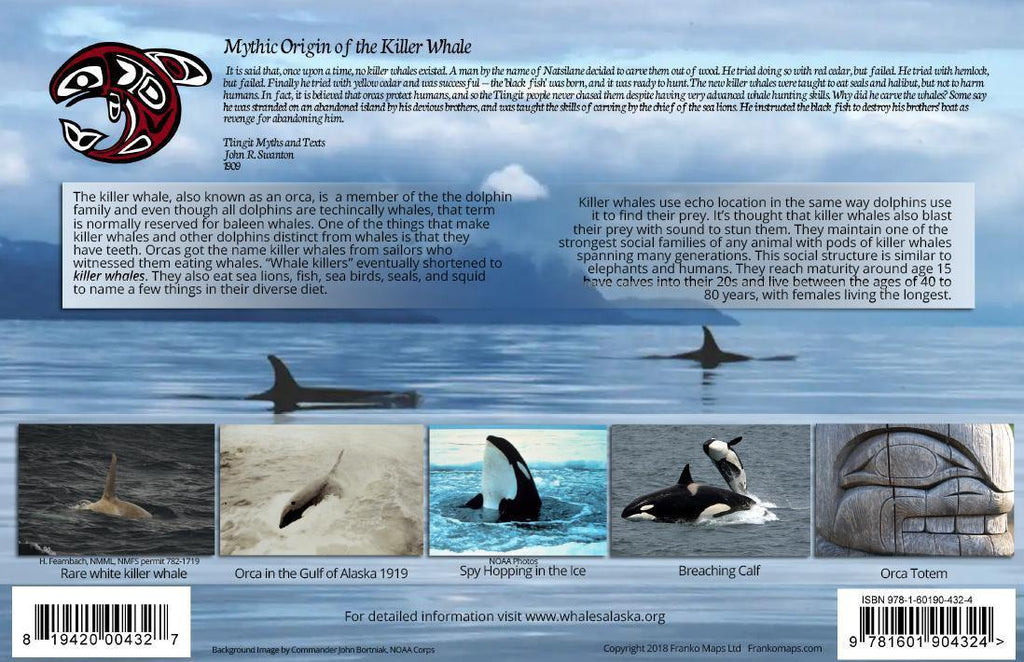 Killer Whales of Alaska / Orca Card - Frankos Maps