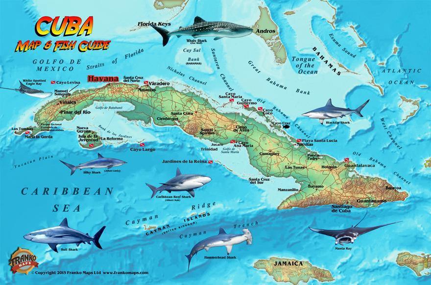 Cuba Fish Card - Frankos Maps