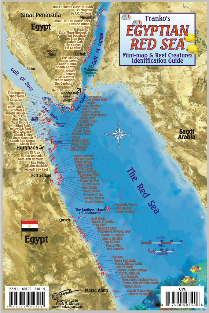 Egyptian Red Sea Fish Card - Frankos Maps