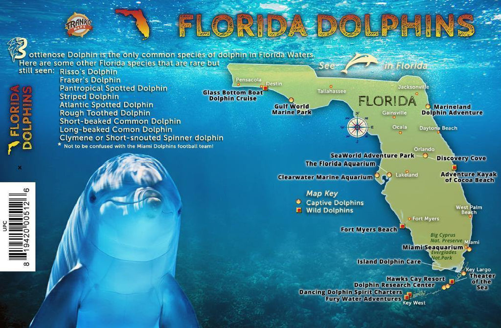Florida Dolphins Guide Card - Frankos Maps