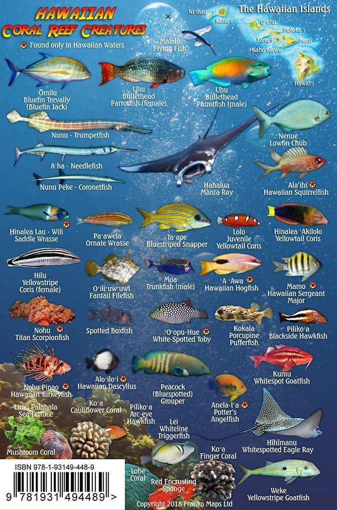 Hawaiian Islands Mini Fish Card - Frankos Maps
