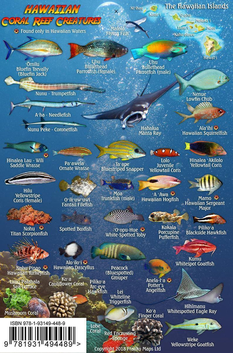 Hawaiian Fish Species Chart Ultimate Guide Hawaiian Reef Fishes, Sea