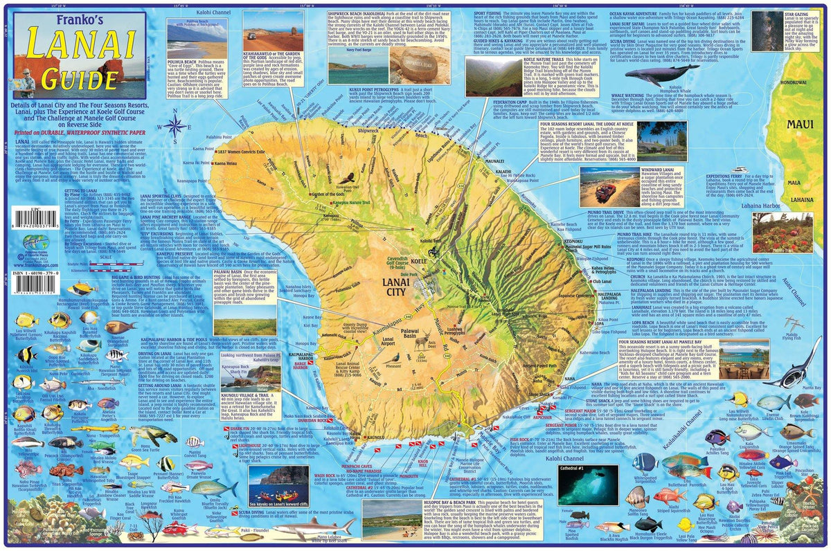 Lanai_2012-1_1200x1200.jpg?v=