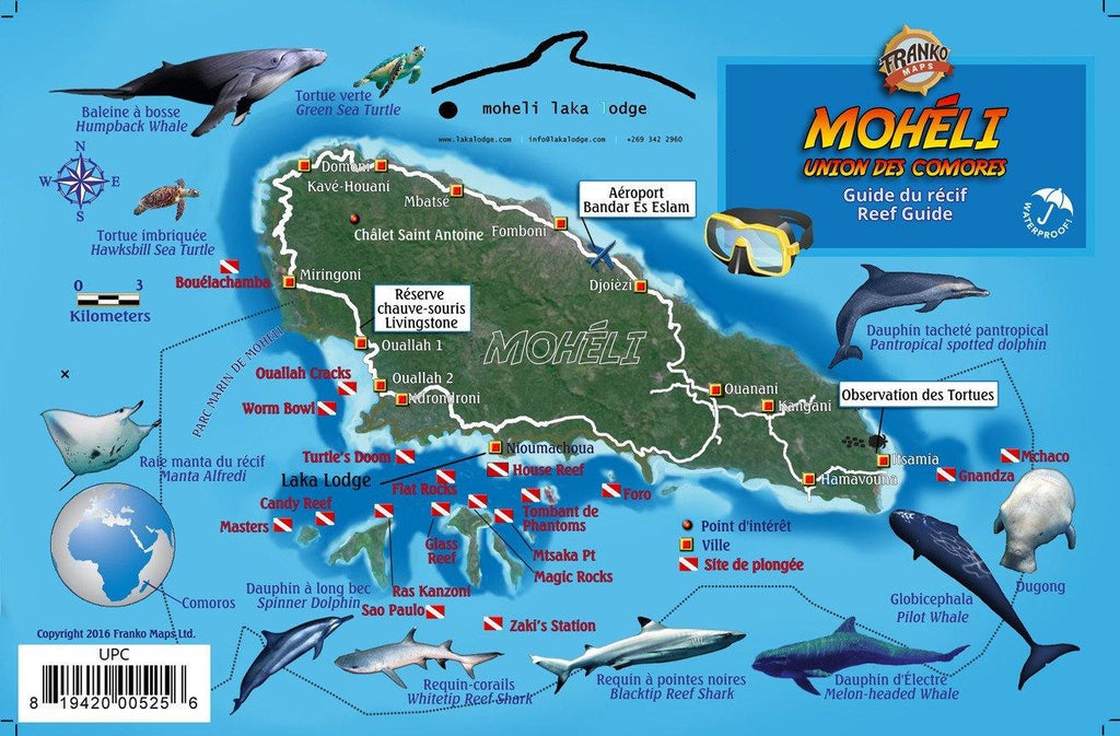 Moheli, Comoros Fish Card - Frankos Maps