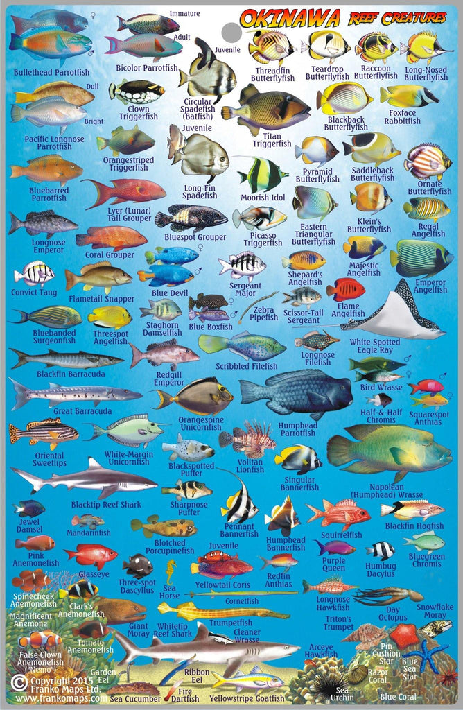 Okinawa Fish Card - Frankos Maps