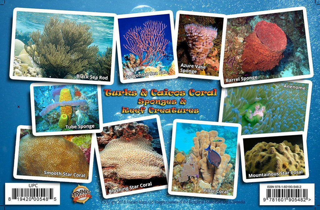 Turks & Caicos Coral Guide Card - Frankos Maps