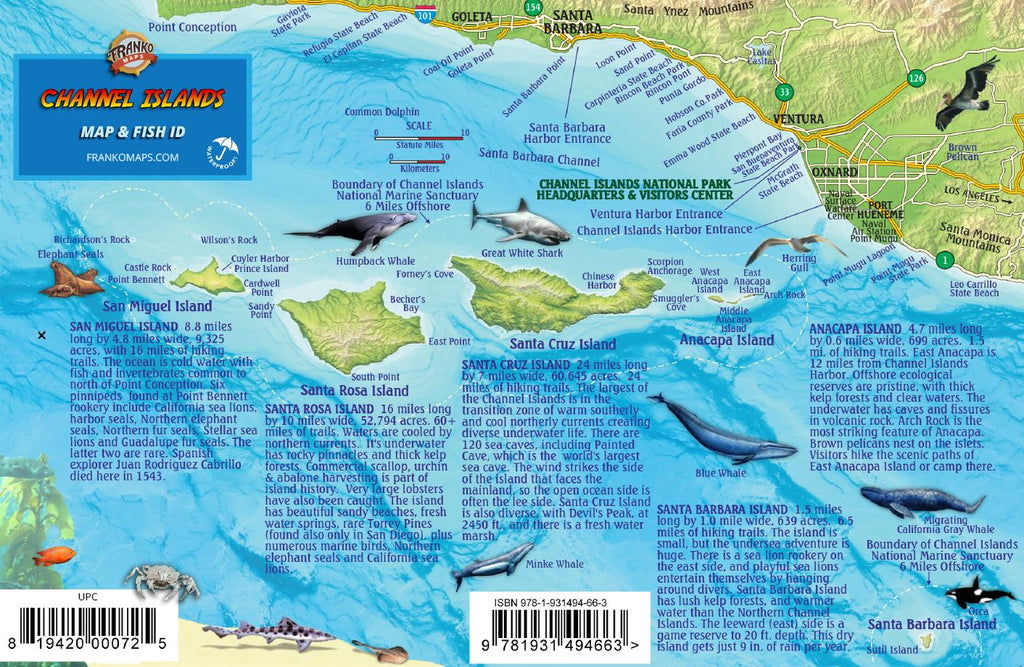 Isla Mujeres, Mexico, Fish Card – Franko Maps