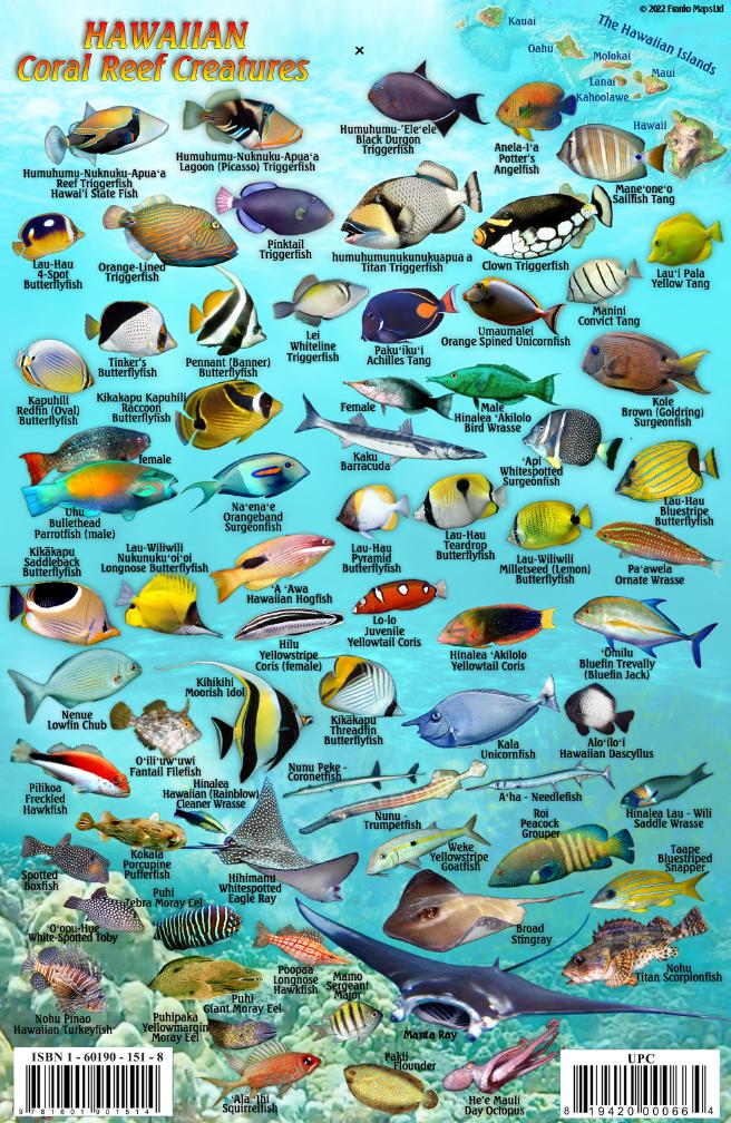 Maui Fish Card – Franko Maps