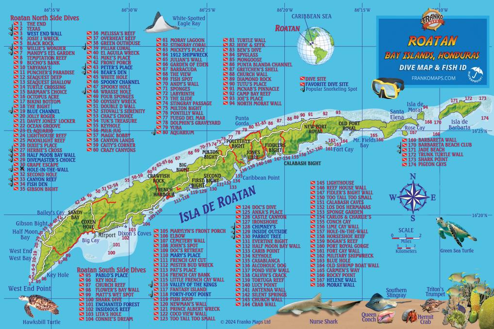 Port Roatan Map Key Roatan Map & Fish Poster β Franko Maps