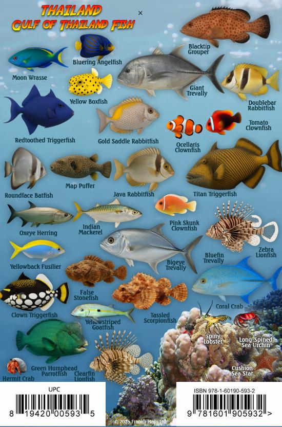 Thiland Fish Thailand Fish Card – Franko Maps