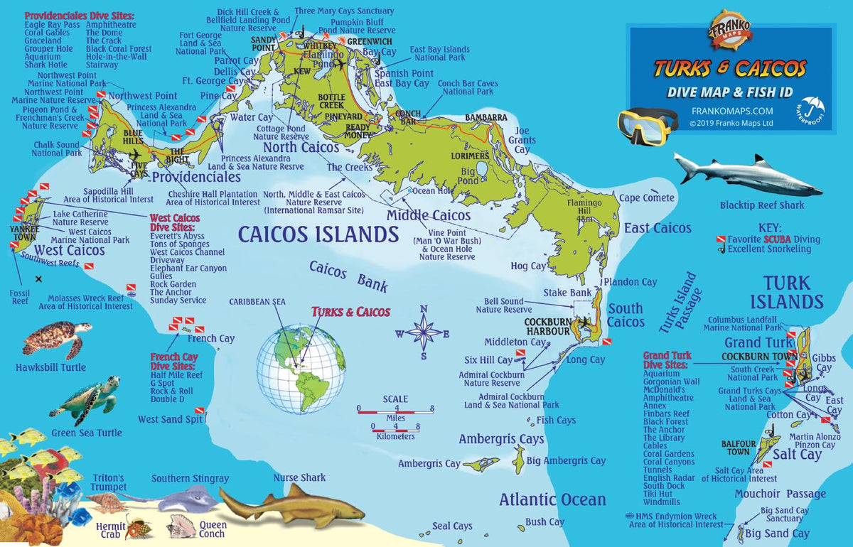 Turks & Caicos Map & Fish Card – Franko Maps