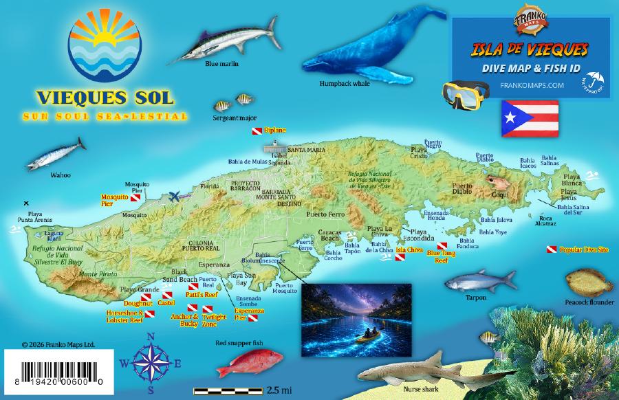 Vieques, Puerto Rico, Fish Card (Copy) – Franko Maps