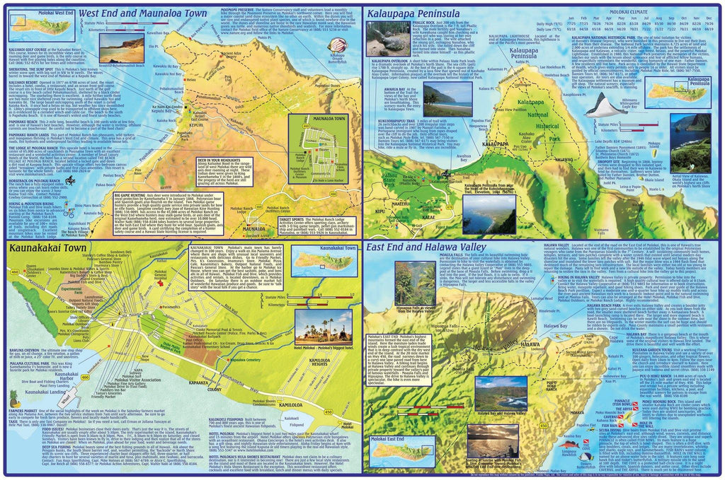 Molokai Adventure Guide Map Laminated Poster - Frankos Maps