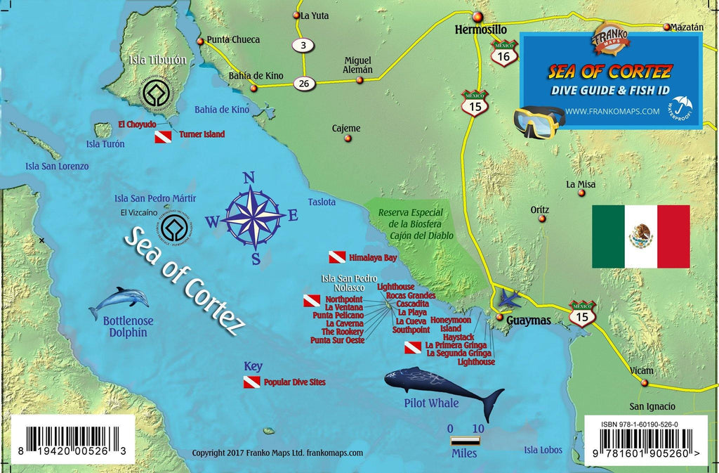 Central Sea of Cortez Fish Card - Frankos Maps
