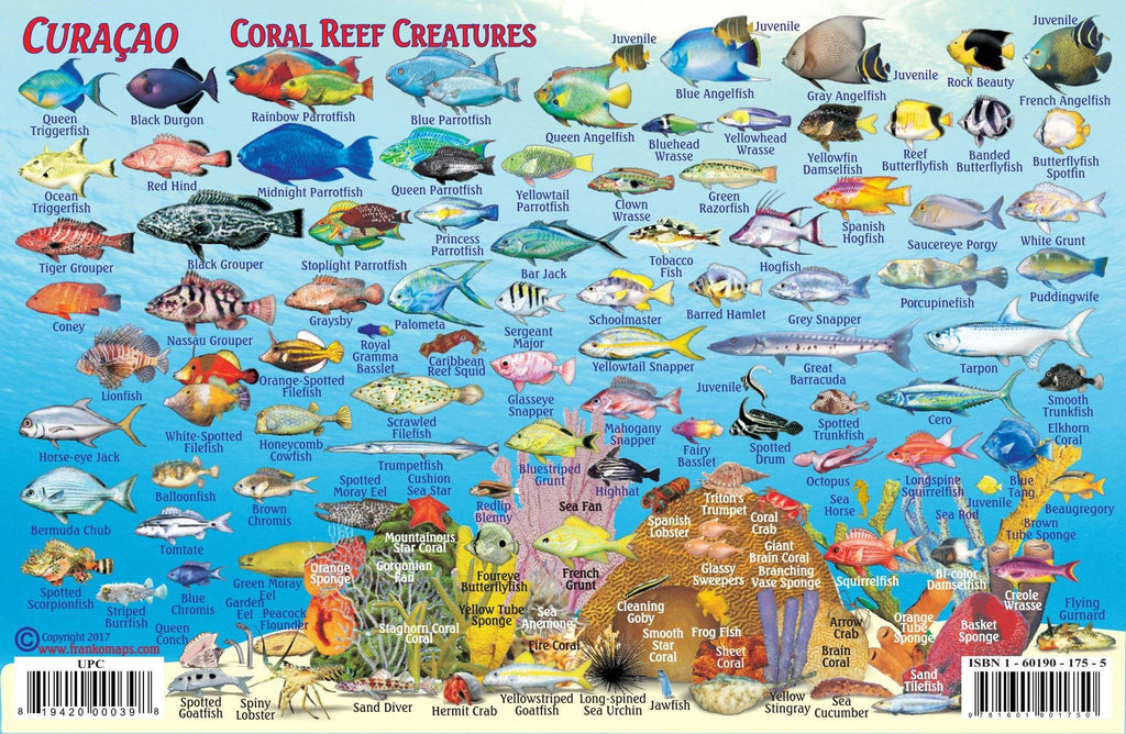 Curacao fish identification card