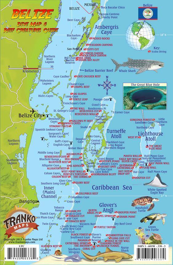 Belize Fish Card - Frankos Maps