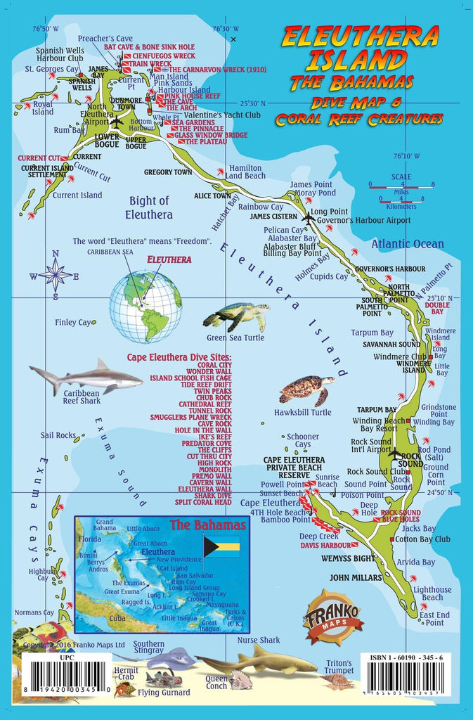 Eleuthera Island, The Bahamas, Fish Card - Frankos Maps