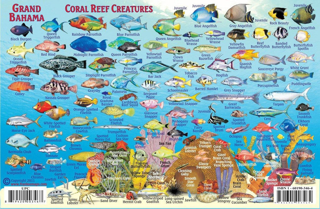 Grand Bahama Island Fish Card - Frankos Maps