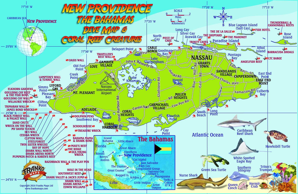 New Providence Island, The Bahamas, Fish Card - Frankos Maps