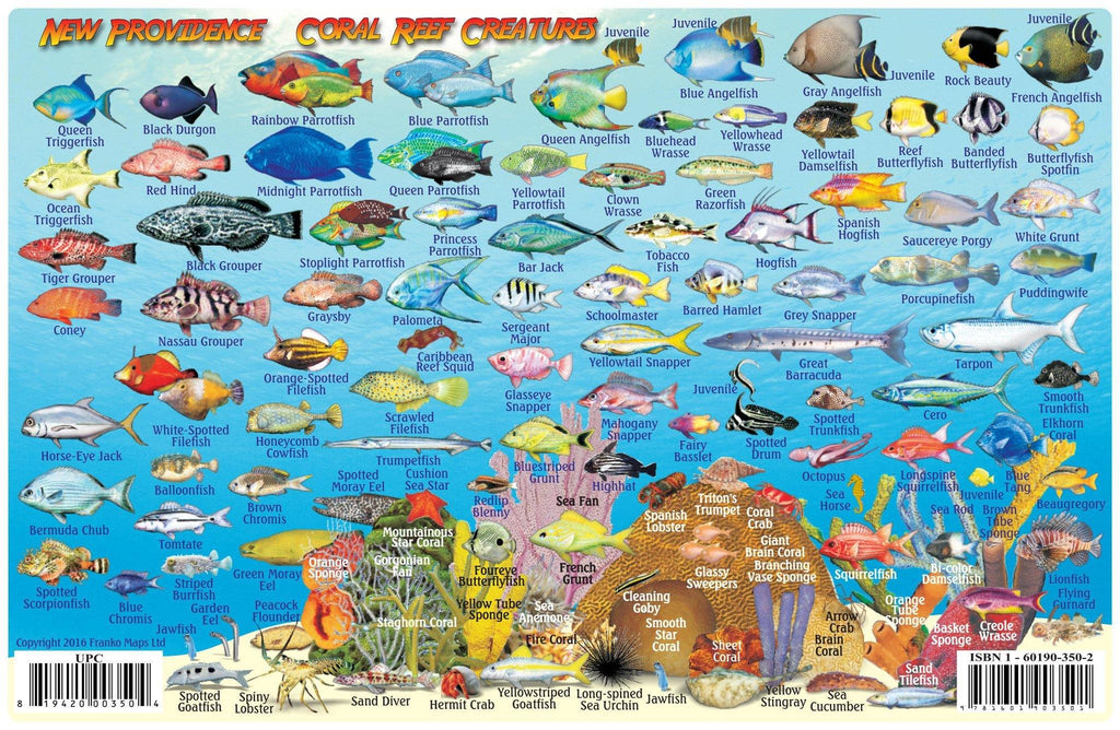 New Providence Island, The Bahamas, Fish Card - Frankos Maps