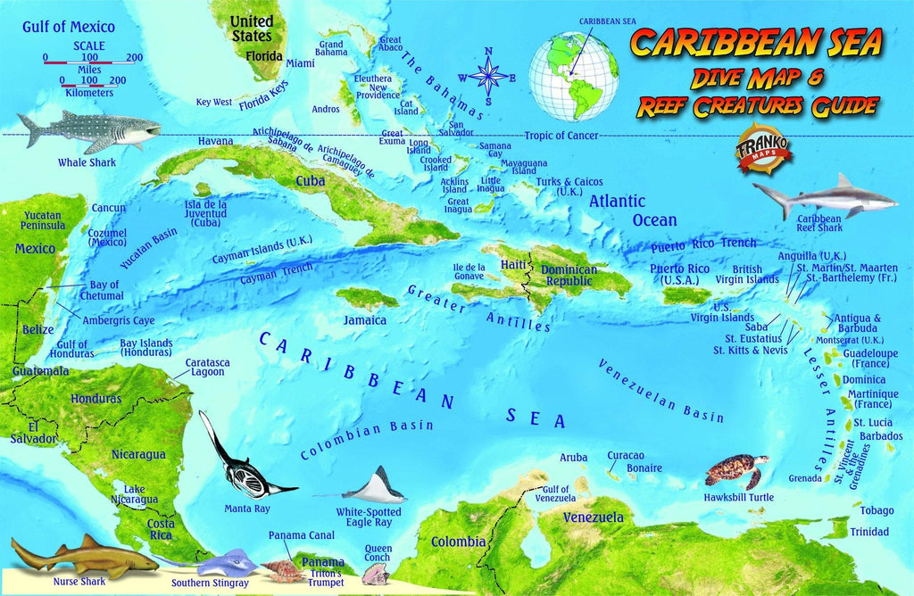 Caribbean Sea Fish Card - Frankos Maps