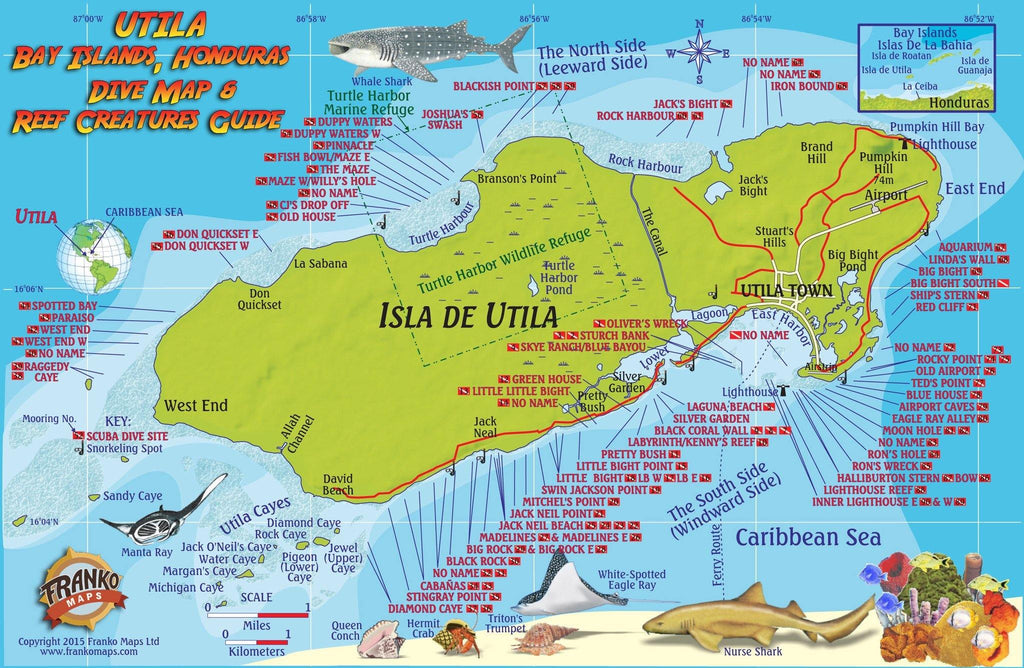 Utila Fish Card - Frankos Maps