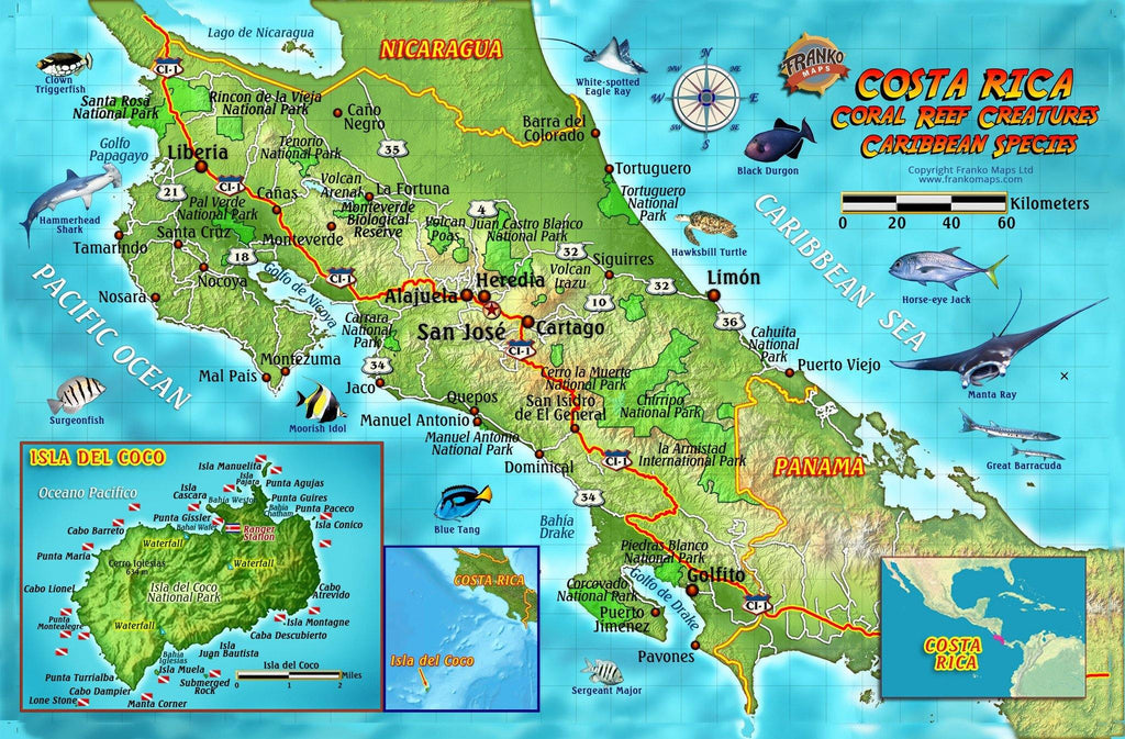 Costa Rica Caribbean Fish Card - Frankos Maps