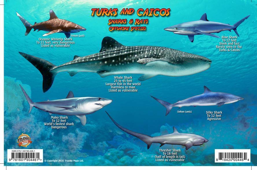 Turks & Caicos Sharks & Rays Card - Frankos Maps