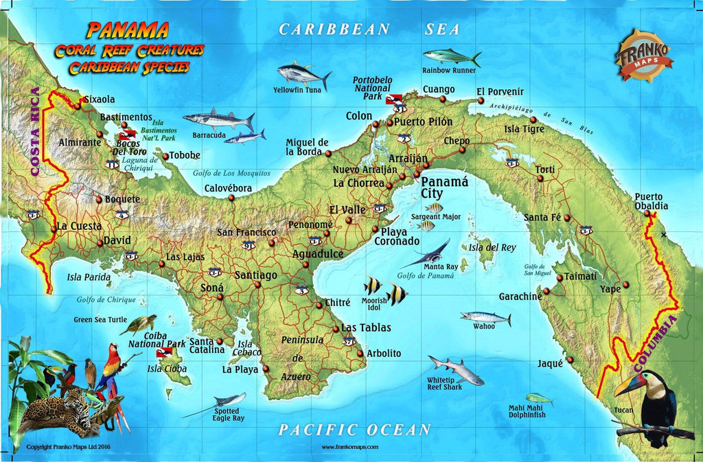 Panama Caribbean Fish Card - Frankos Maps