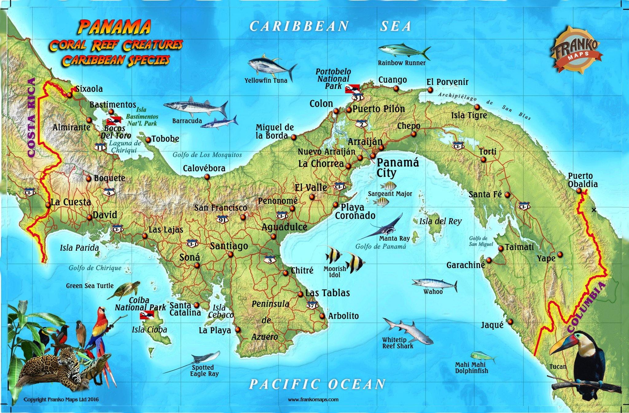 Panama Caribbean Fish Card – Franko Maps
