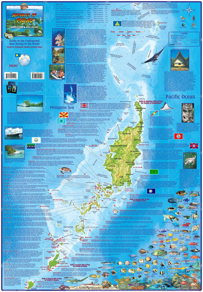 Palau Adventure & Dive Guide Map Laminated Poster - Frankos Maps