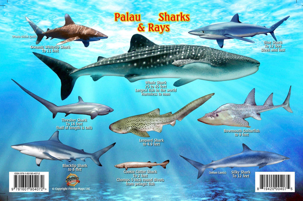 Palau Sharks & Rays Card - Frankos Maps