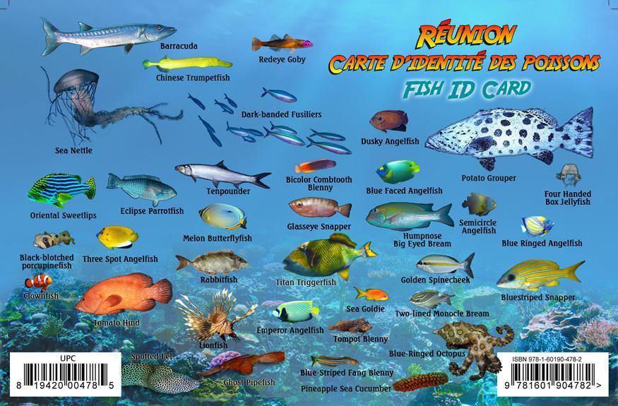 Reunion Island Fish Card - Frankos Maps
