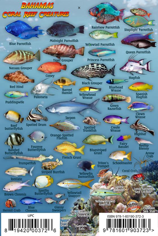 Caribbean Maps Frankos Maps Franko Maps