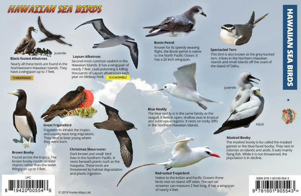 Hawaiian Sea & Shore Birds Guide Card - Frankos Maps