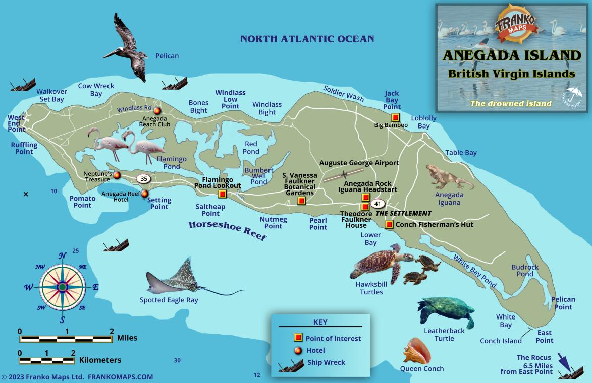 Anegada Island BVI Fish Card – Franko Maps