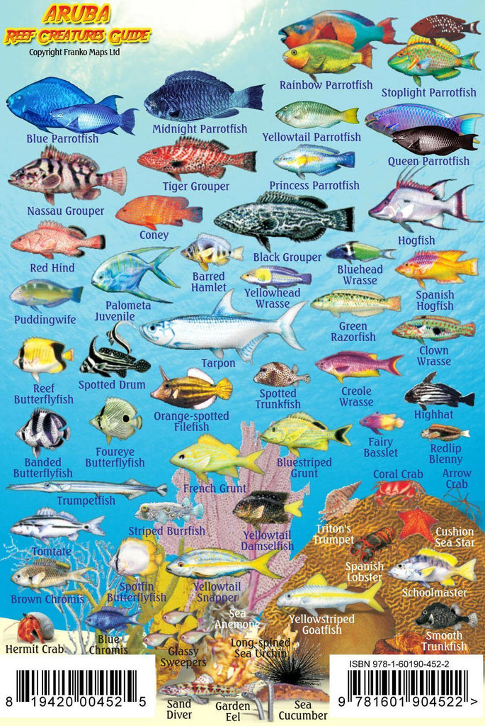 Aruba Mini Fish Card - Frankos Maps