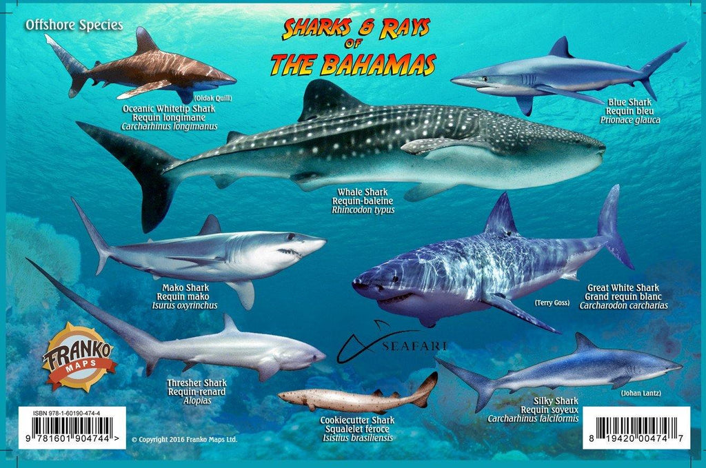 Bahamas Sharks & Rays Card - Frankos Maps