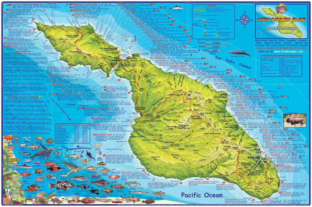 Santa Catalina Island Dive & Adventure Map Poster - Frankos Maps