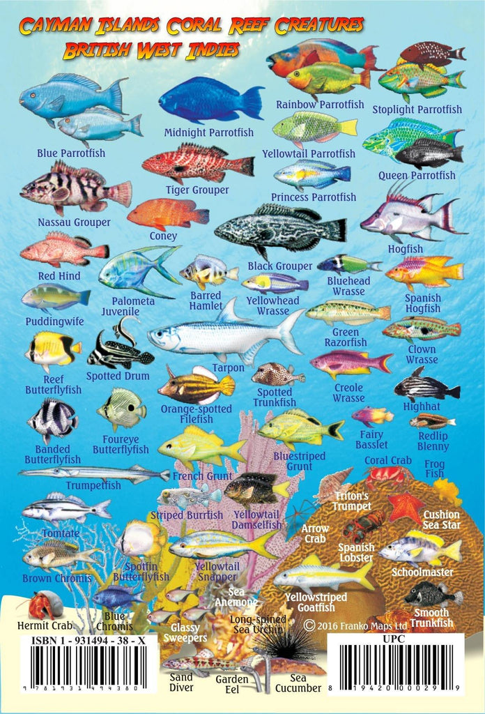 Cayman Islands Mini Fish Card – Franko Maps