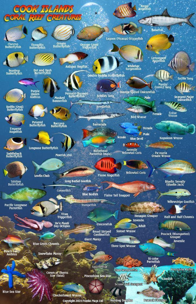 Cook Islands Fish Card - Frankos Maps