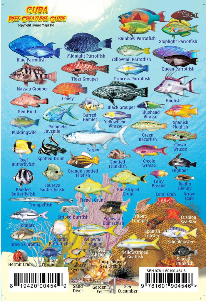 Cuba Mini Fish Card - Frankos Maps