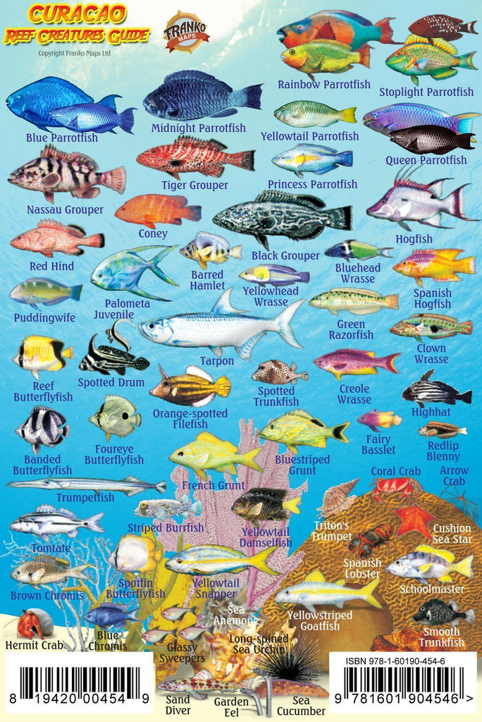 Curacao Mini Fish Card - Frankos Maps
